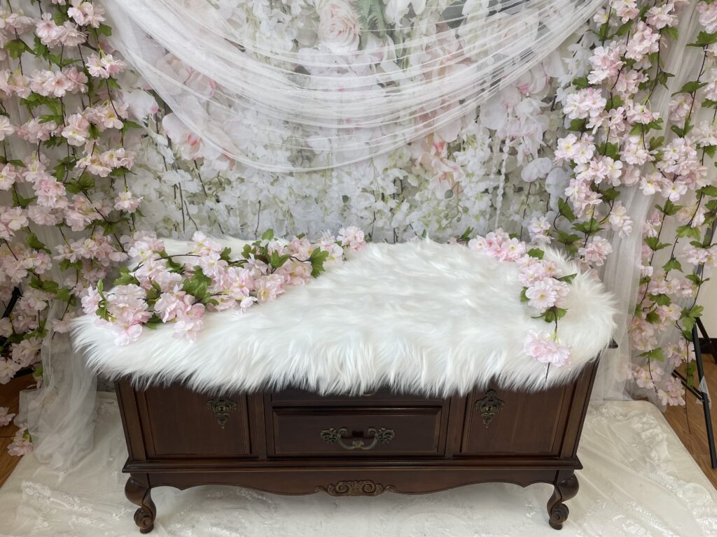 桜のフォトブース